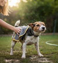 Ultra fine fiber PET towel set for dogs and cats -3 pieces per pack